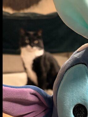 Viral TikTok Beaded Lobster Bag Handmade India with Mini Beaded Bag NWT